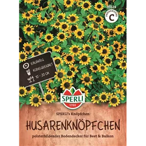 Husarenknöpfchen SPERLI's Knöpfchen