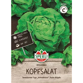 Kopfsalat Attraktion