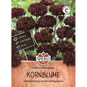 Kornblume SPERLI's Black Beauty