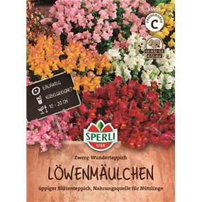 Löwenmäulchen Zwerg-Wunderteppich