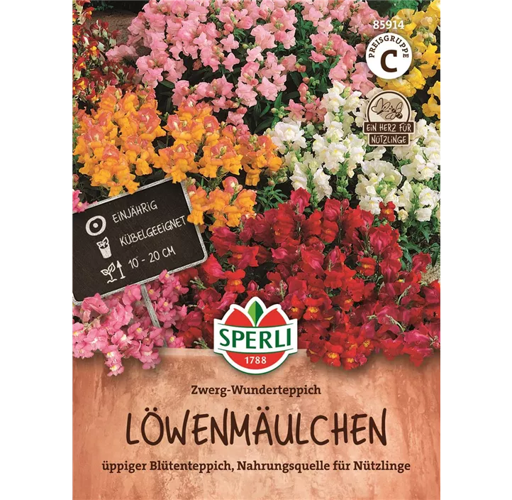 Löwenmäulchen Zwerg-Wunderteppich