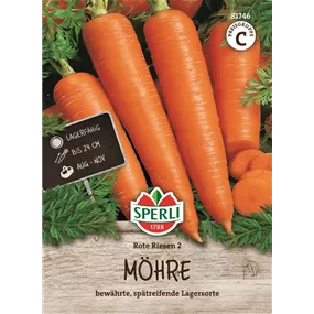 Möhre Rote Riesen 2