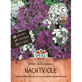 Nachtviole SPERLI's Nachtschwärmer