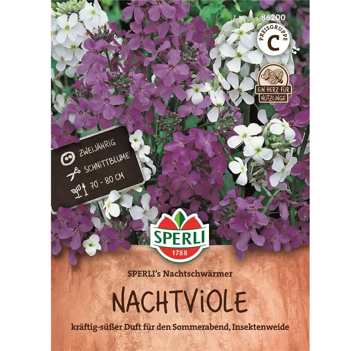 Nachtviole SPERLI's Nachtschwärmer