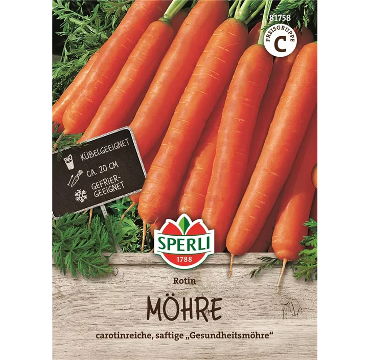 Möhre Rotin