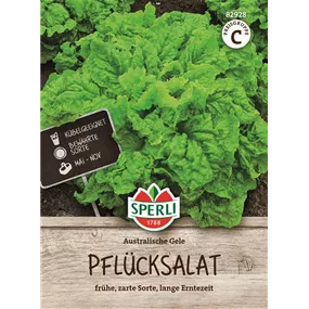 Pflücksalat Australische Gele
