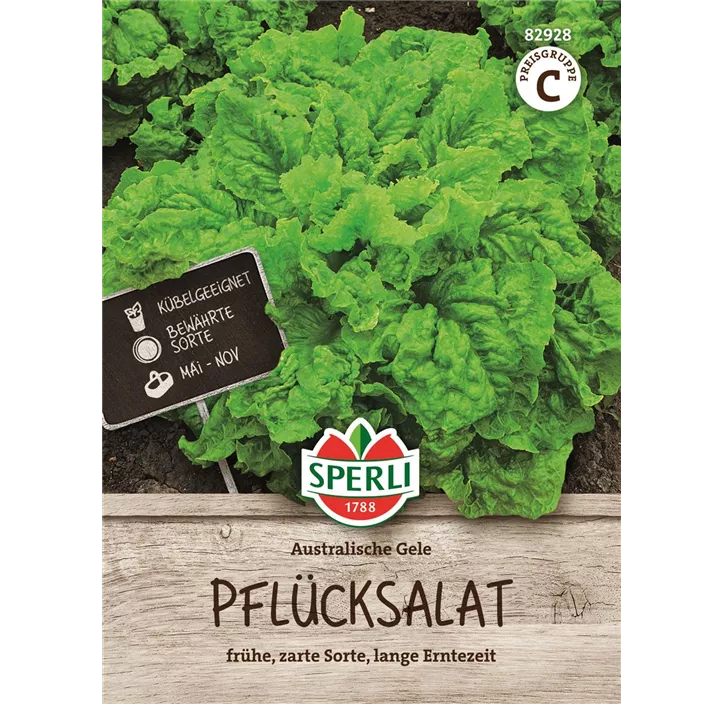 Pflücksalat Australische Gele