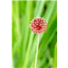 bellaflora Gartencenter GmbH