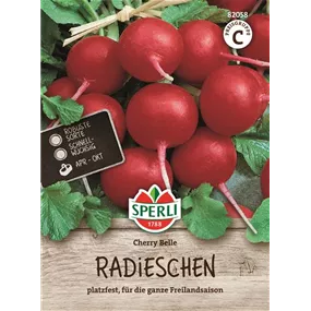Radieschen Cherry Belle