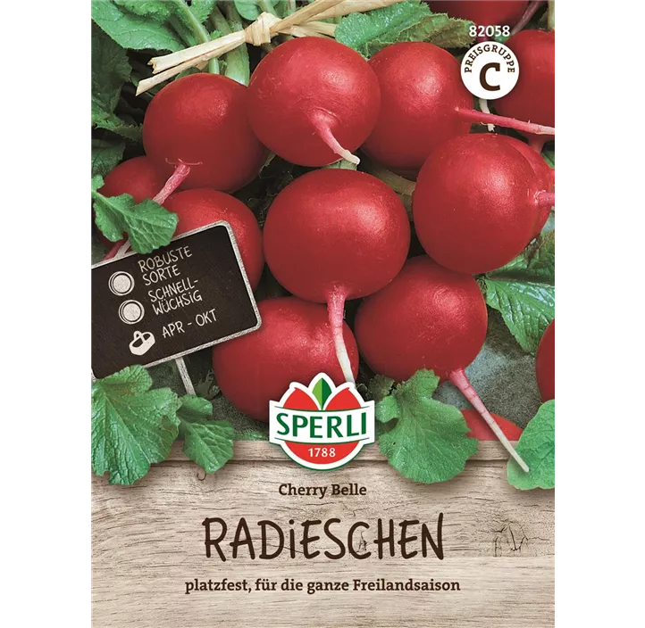 Radieschen Cherry Belle