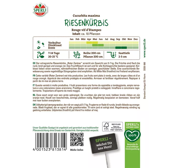 Riesenkürbis Rouge vif d'Etampes