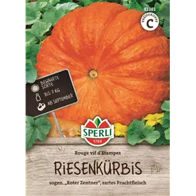 Riesenkürbis Rouge vif d'Etampes