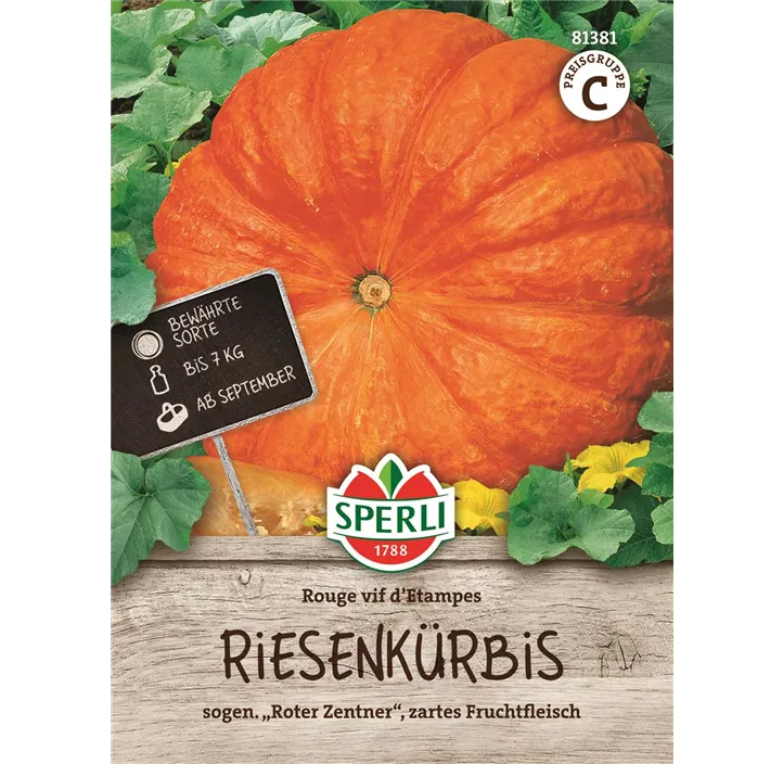 Riesenkürbis Rouge vif d'Etampes