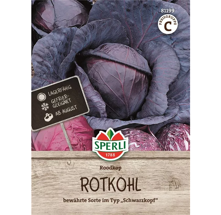 Rotkohl Roodkop