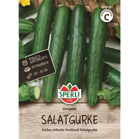 Salatgurke Gergana