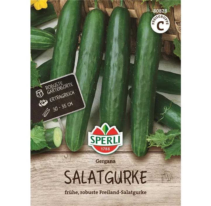 Salatgurke Gergana