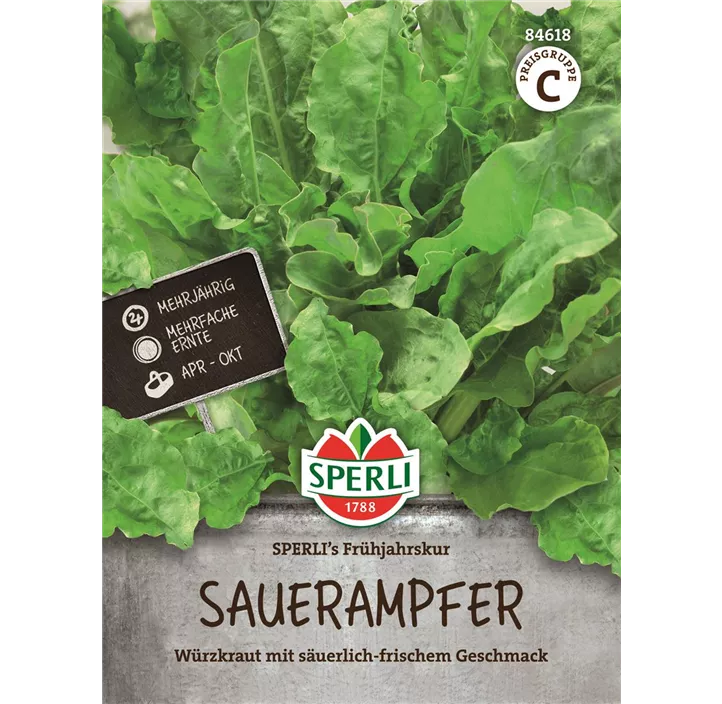 Sauerampfer SPERLI's Frühjahrskur