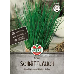 Schnittlauch Twiggy