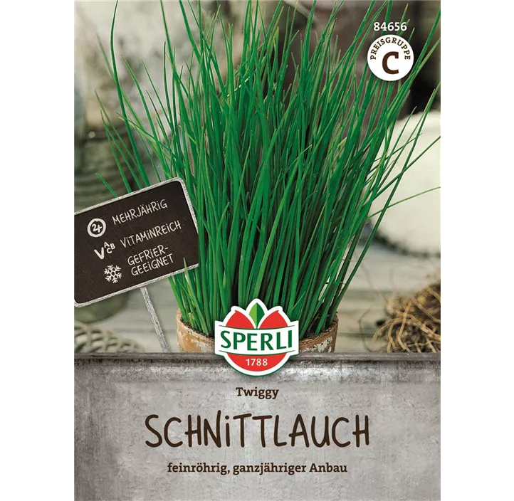 Schnittlauch Twiggy