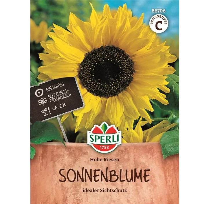 Sonnenblume Hohe Riesen