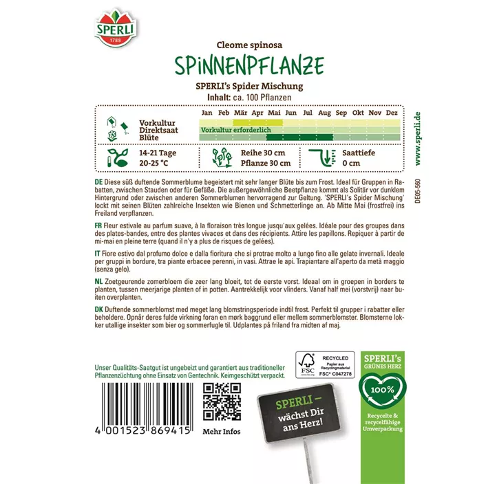 Spinnenpflanze Mischung