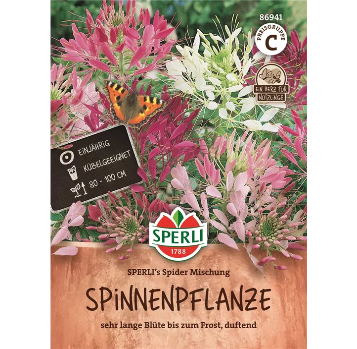 Spinnenpflanze Mischung