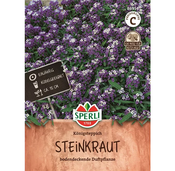 Steinkraut Königsteppich