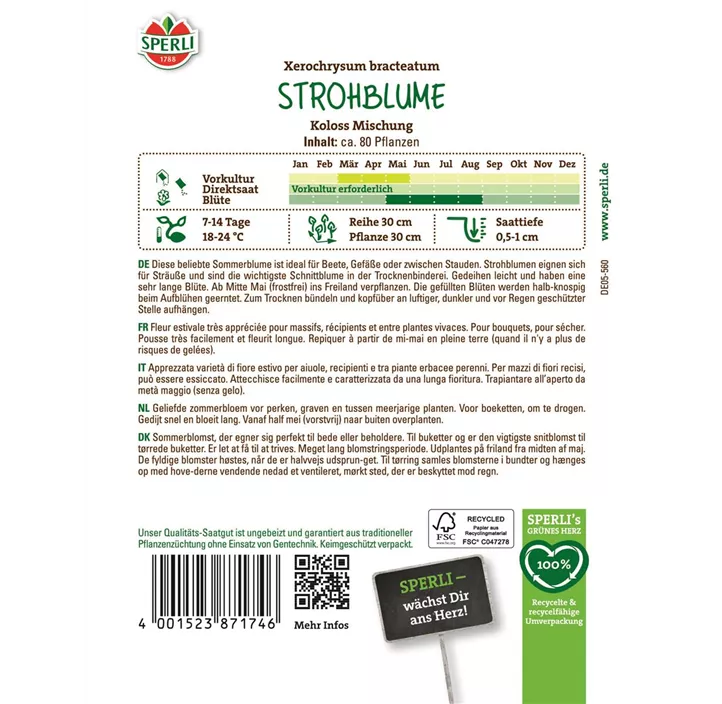 Strohblume Koloss Mischung