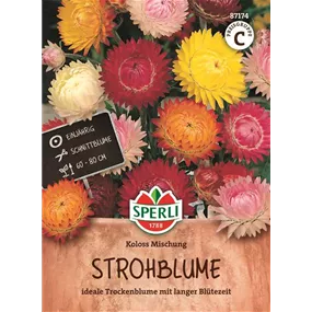 Strohblume Koloss Mischung