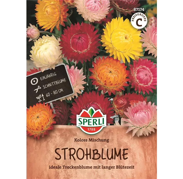 Strohblume Koloss Mischung