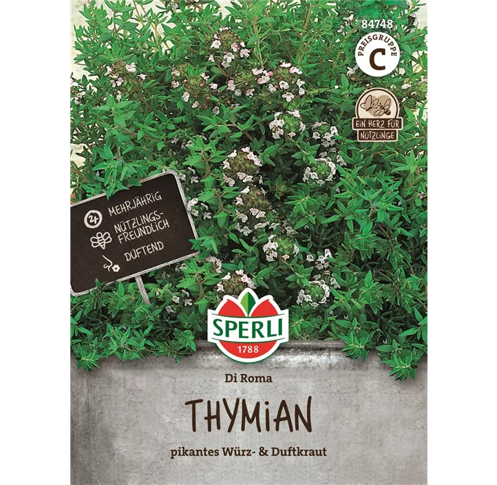 Thymian Di Roma