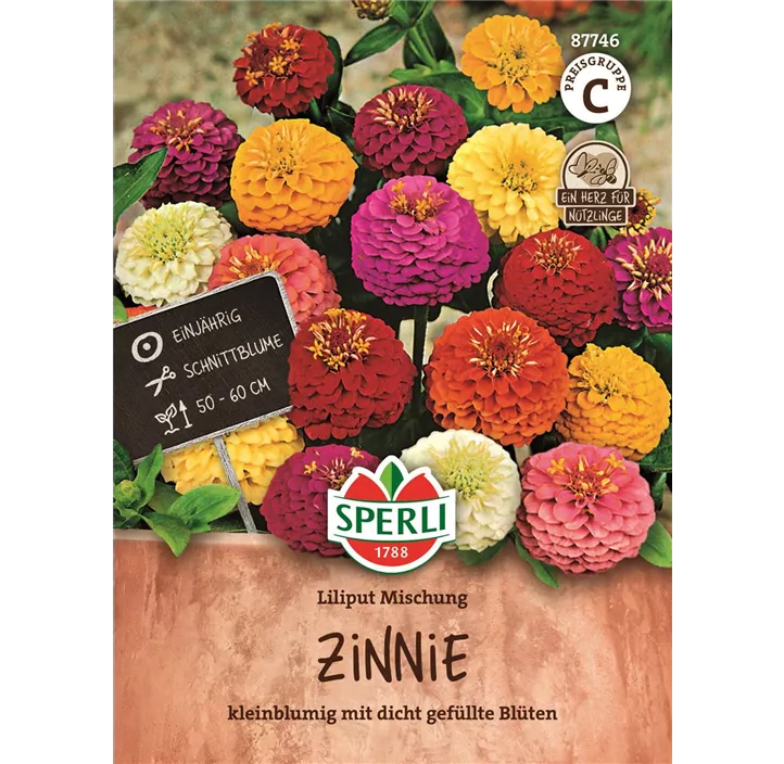 Zinnie Liliput Mischung