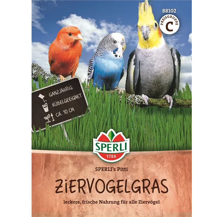 Ziervogelgras SPERLI's Pitti