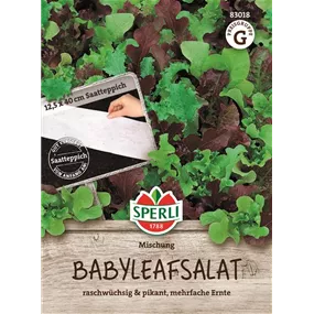 Babyleaf Salat Saatplatten