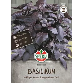 Basilikum Bordeaux