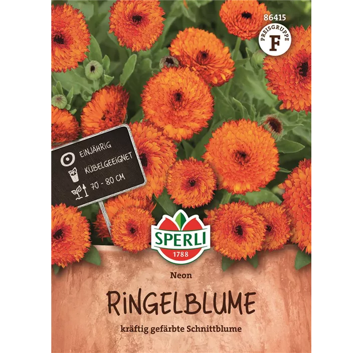 Calendula officinalis Ringelblume Neon
