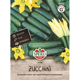 Cucurbita pepo Zucchini Leila F1