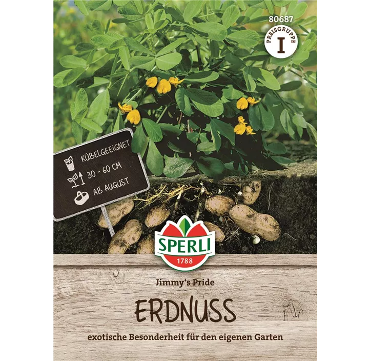 Erdnuss 'Jimmy´s Pride'