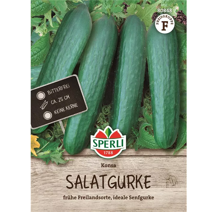 Gurke 'Konsa F1'