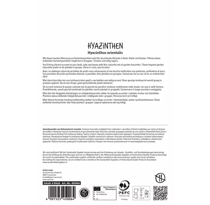 Garten-Hyazinthe