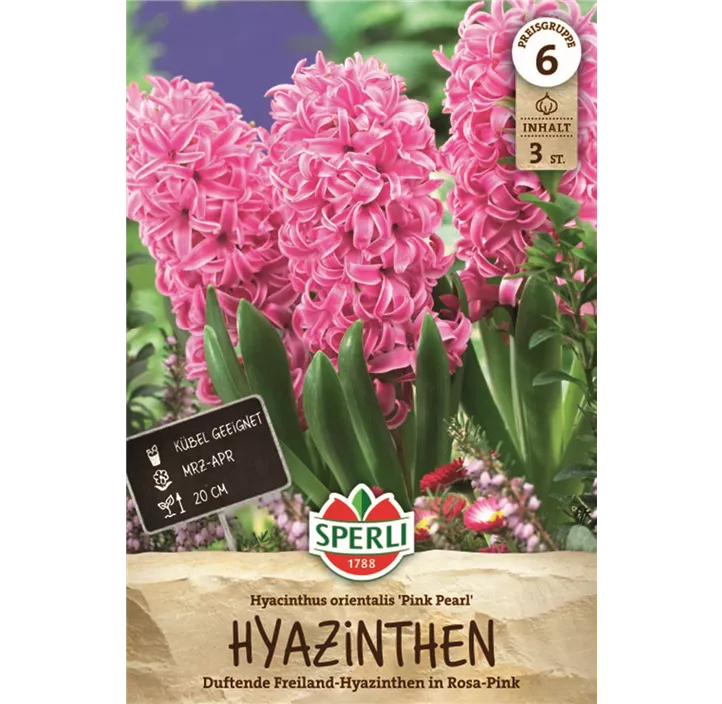 Hyazinthe 'Pink Pearl'