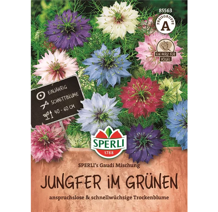 Nigella Samen