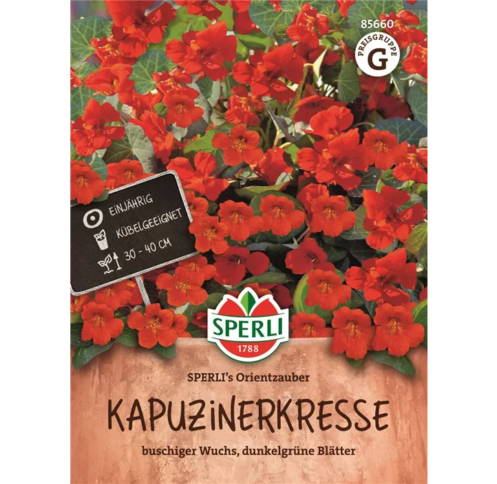 Kapuzinerkresse 'SPERLI´s Orientzauber'