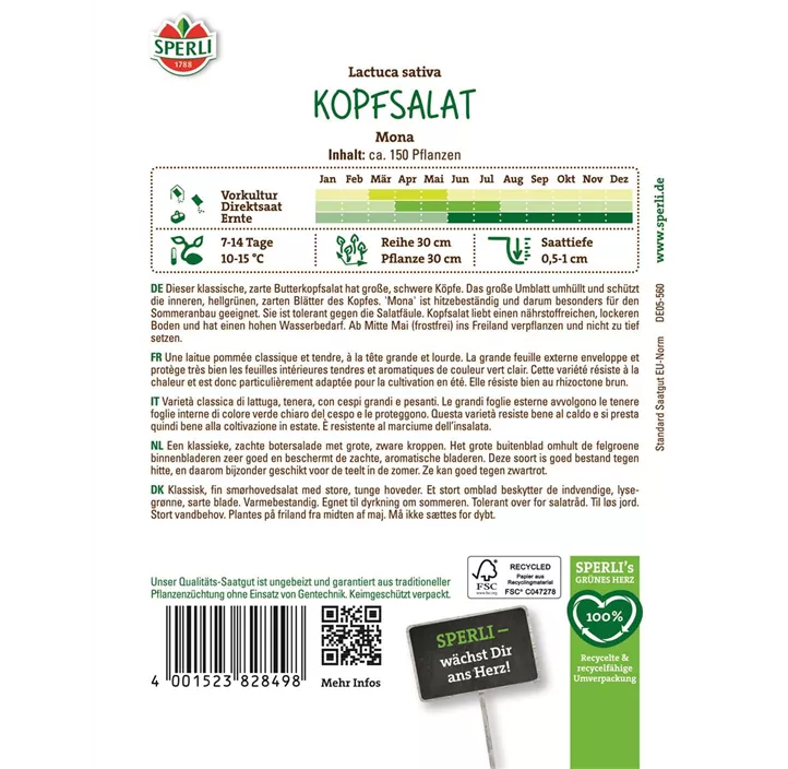 Kopfsalat 'Mona'