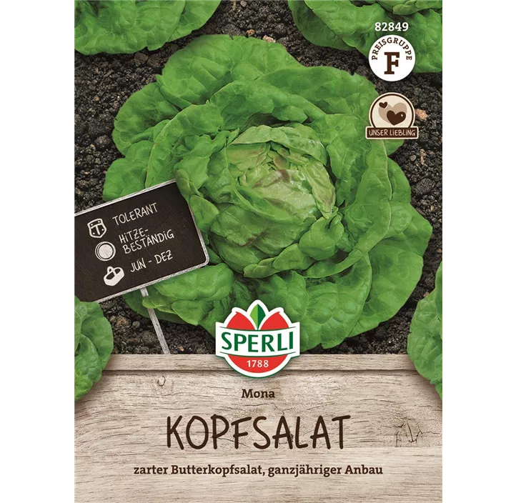 Kopfsalat 'Mona'