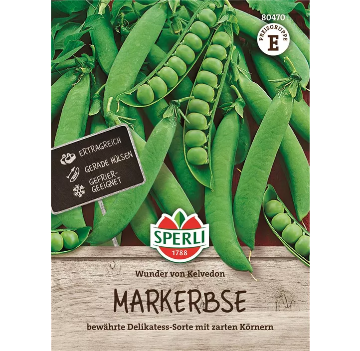 Markerbse 'Wunder von Kelvedon'
