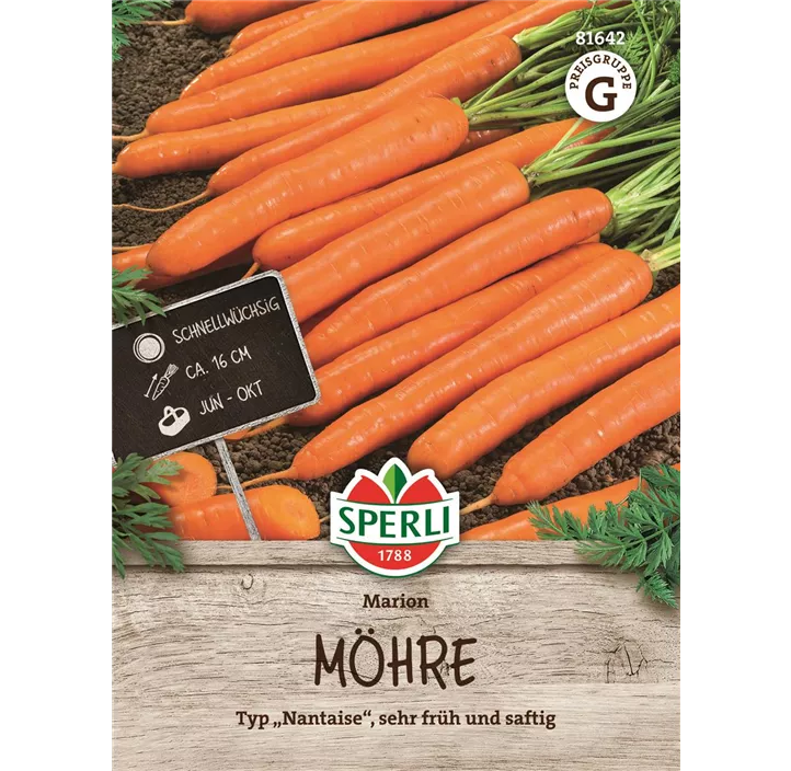 Möhre Marion F1