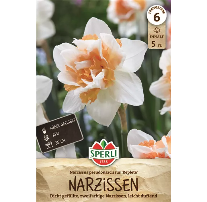 Narzissen Replete