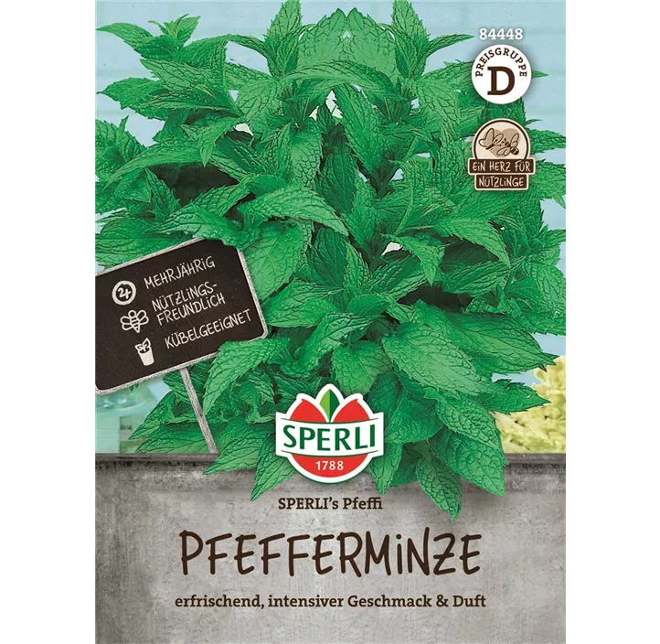 Pfefferminze Samen