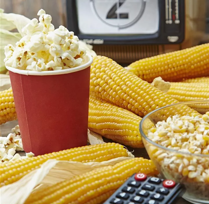 Popcornmais Nana